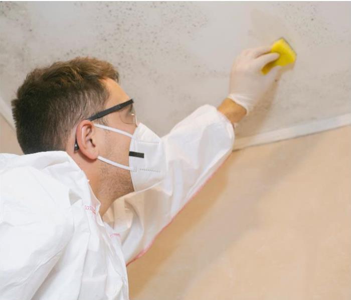 A professional identifying mold on the ceiling of a house.